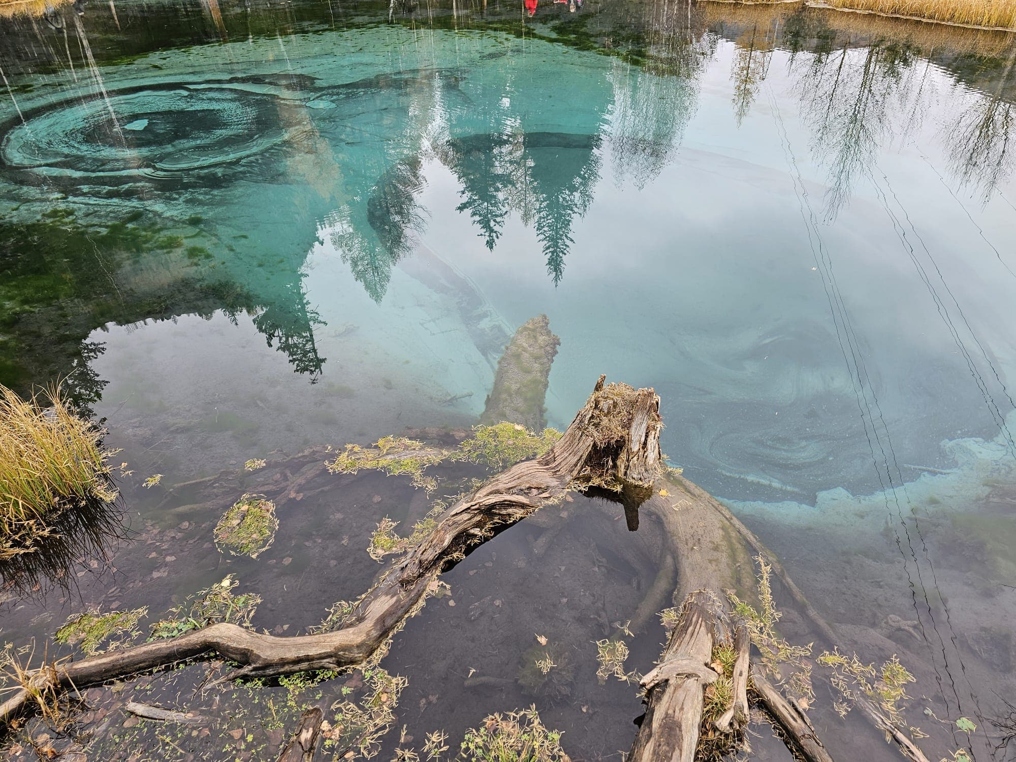 Спокойное течение